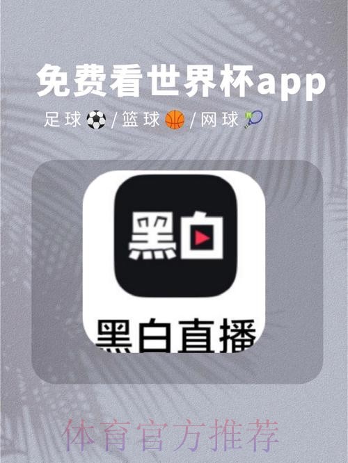 世界杯免费观看APP 世界杯免费观看APP